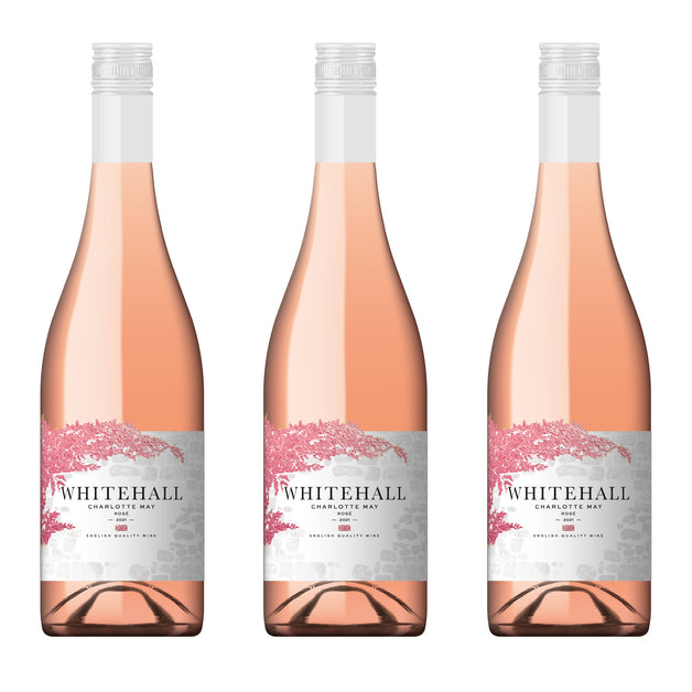The Charlotte May Rosé 2021 Case