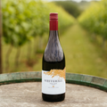 Pinot Noir 2021